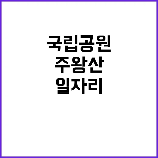 [주왕산] 2024년 주왕산국립공원 가을철 한시인력 (환경관리 및 탐방안내) 장애인 제한경쟁 채용