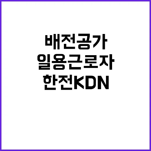 한전KDN 강원사업처 배전공가 시설내역조사 일용근로자 모집공고