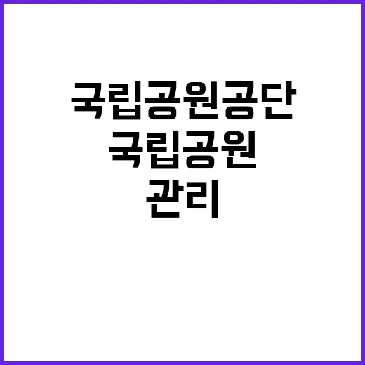 국립공원공단 비정규…