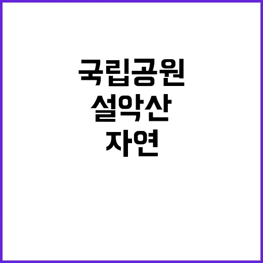 국립공원공단 비정규…