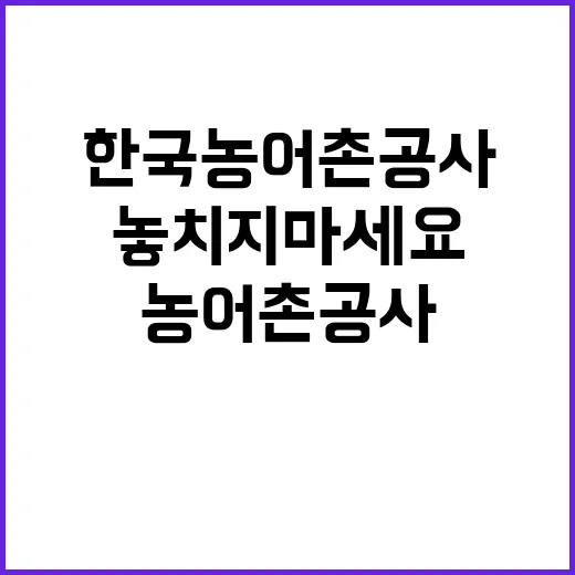 한국농어촌공사 비정…