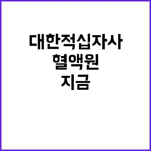 [광주전남혈액원] 기간제(한시적) 및 육아휴직 대체인력 사무보조원 채용 공고