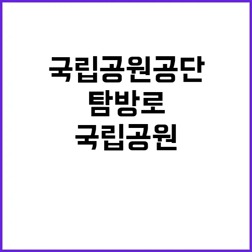 국립공원공단 비정규…