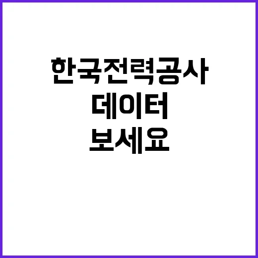 한국전력공사 비정규…