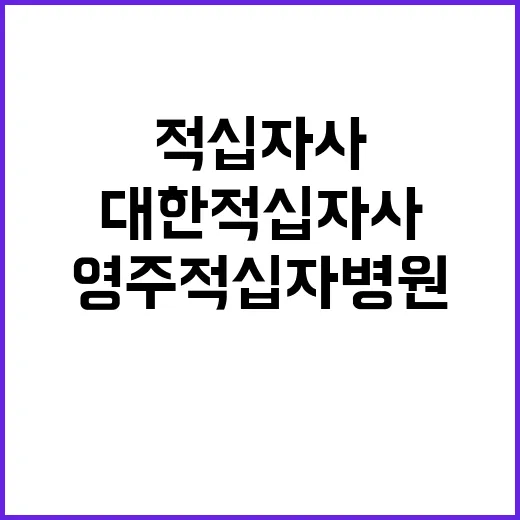 대한적십자사 비정규…