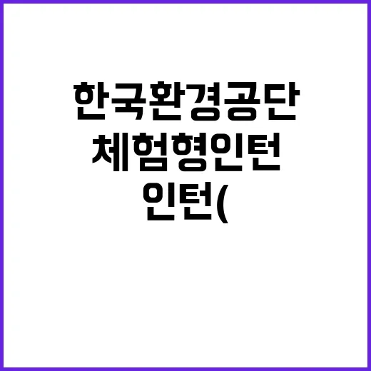 한국환경공단 청년인…