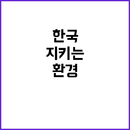 한국환경보전원 비정…