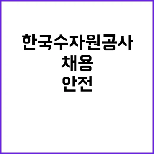 한국수자원공사 비정…