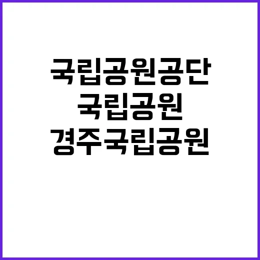 국립공원공단 비정규…