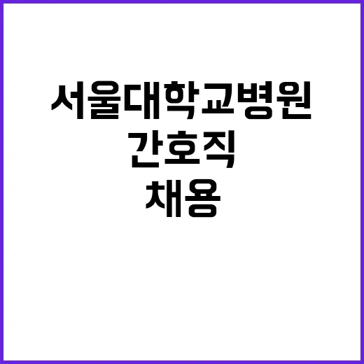 2024년도 서울대학교병원 간호직 블라인드 직원 채용 공고(장애인 특별우대)