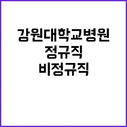 강원대학교병원 정규…