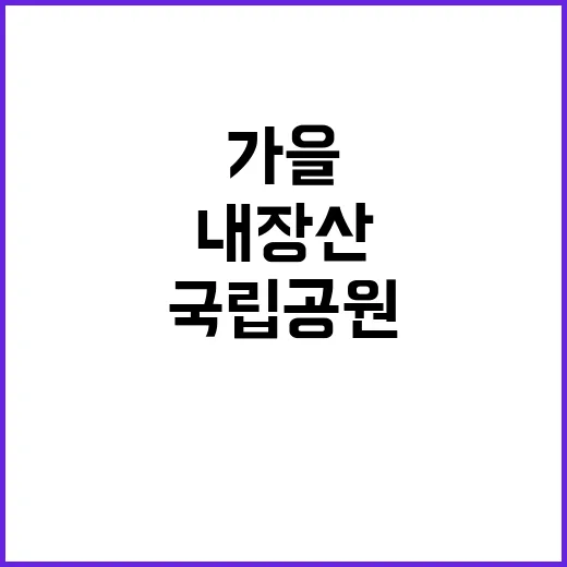 국립공원공단 비정규…