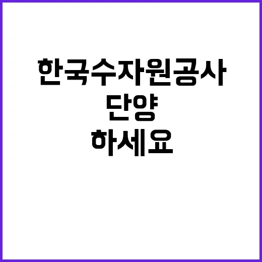 한국수자원공사 비정…