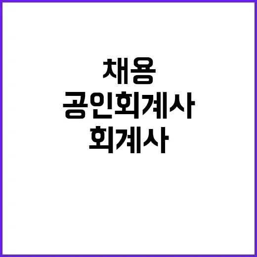 한국연구재단 비정규…