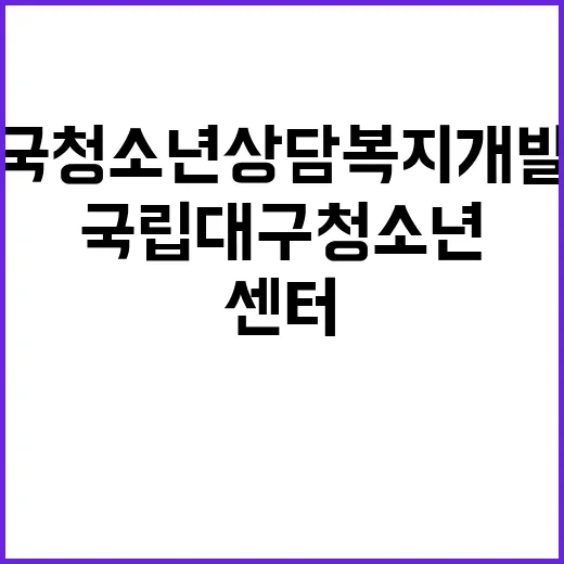 한국청소년상담복지개…