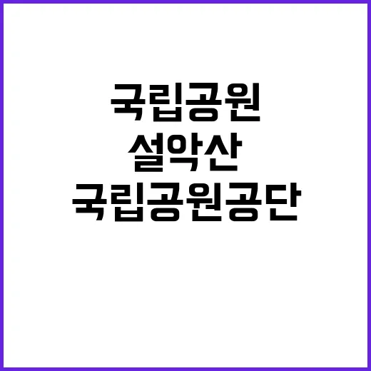 국립공원공단 비정규…