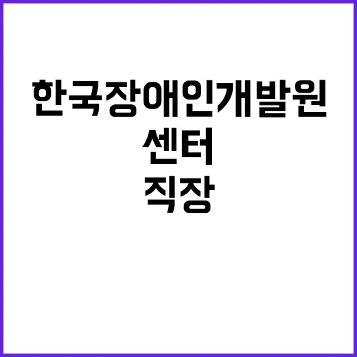 한국장애인개발원 비…