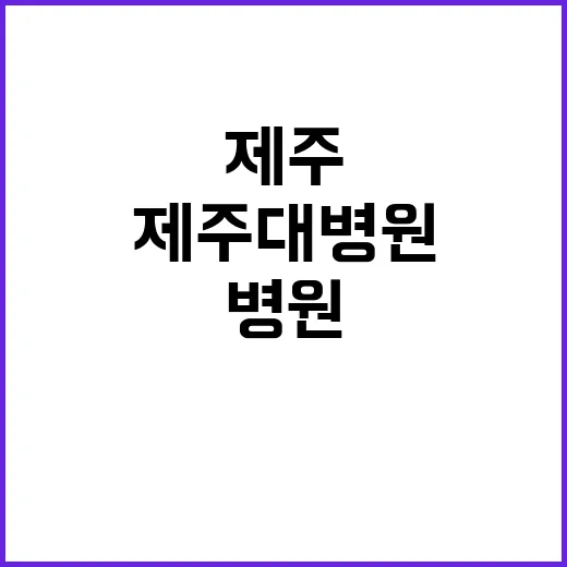 제주대학교병원 정규…