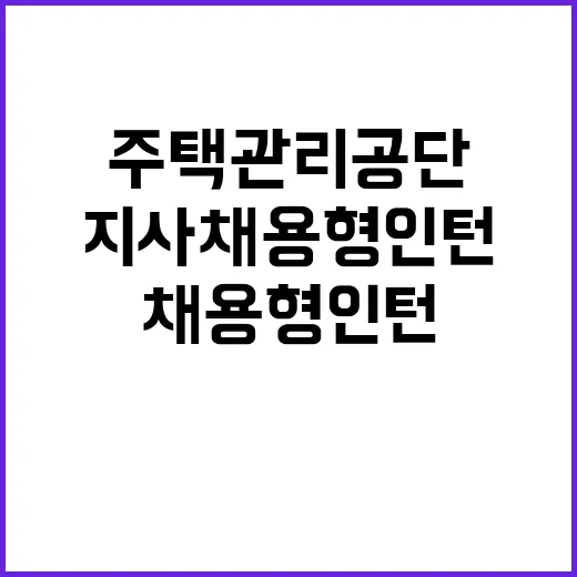 채용형 인턴 채용공고(주택관리공단 대구경북지사)