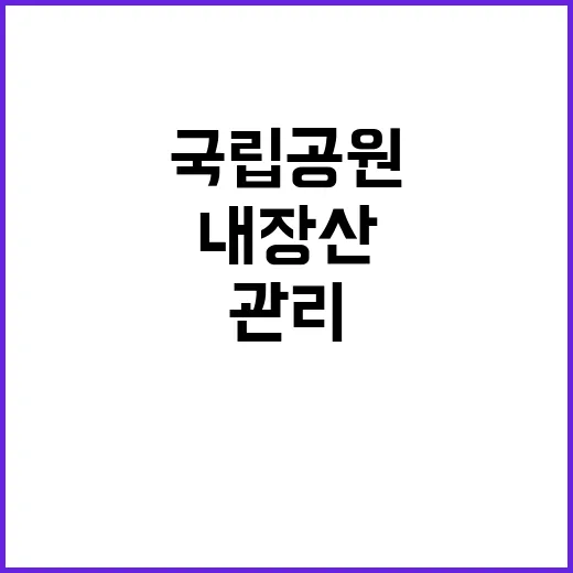 국립공원공단 비정규…