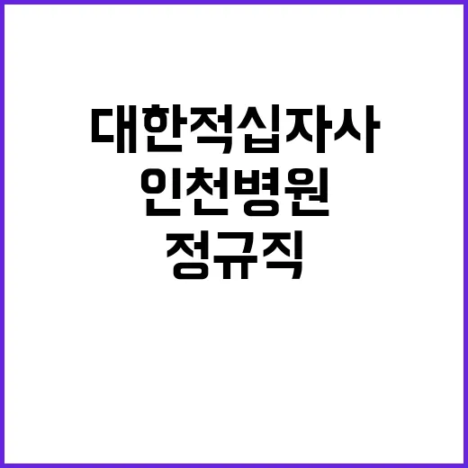 대한적십자사 정규직…