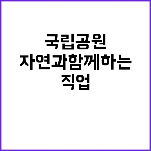 국립공원공단 비정규…