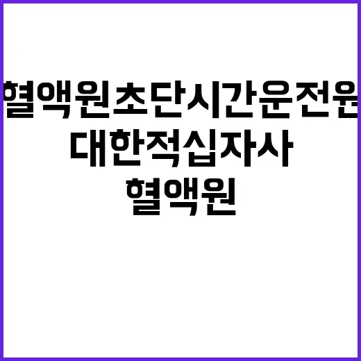 대한적십자사 비정규…