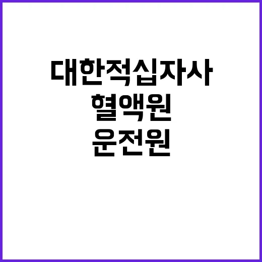 대한적십자사 비정규…