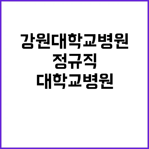 강원대학교병원 정규…