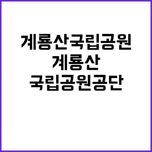 국립공원공단 비정규…