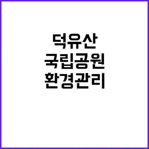 국립공원공단 비정규…