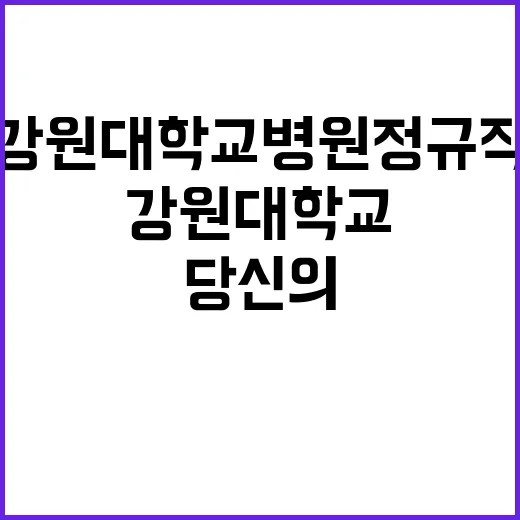 강원대학교병원 정규…