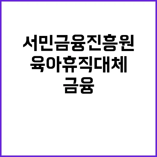 서민금융진흥원 비정…