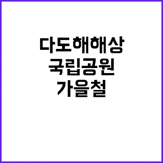 국립공원공단 비정규…