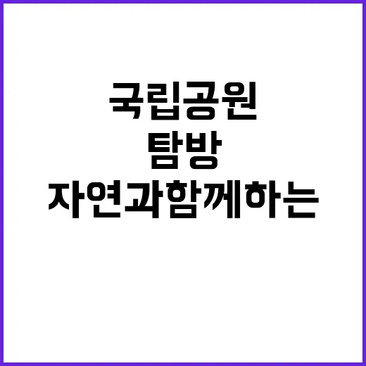 국립공원공단 비정규…