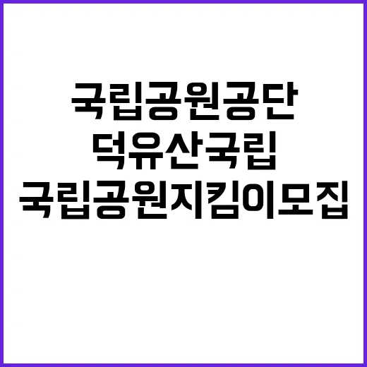 국립공원공단 비정규…