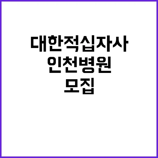 대한적십자사 비정규…