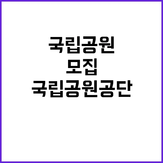 국립공원공단 비정규…