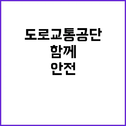 한국도로교통공단 비…