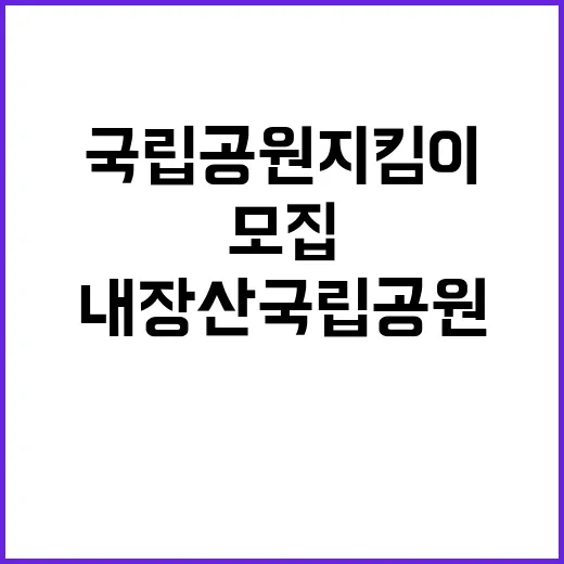 국립공원공단 비정규…