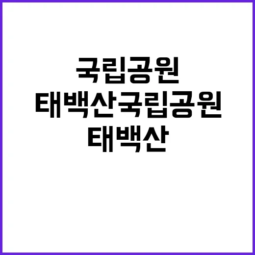 [태백산] 태백산국립공원사무소 수익시설관리 기간제(한시인력) 직원 3차 채용 공고