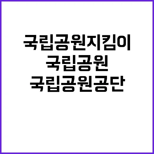 국립공원공단 비정규…