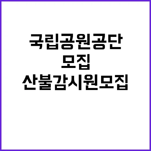 국립공원공단 비정규…