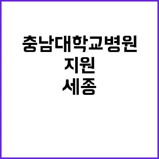 충남대학교병원 비정…