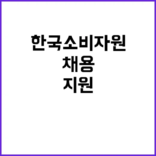 2024년 11월 일용직 채용 공고