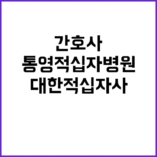 대한적십자사 비정규…