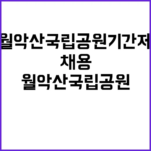 국립공원공단 비정규…