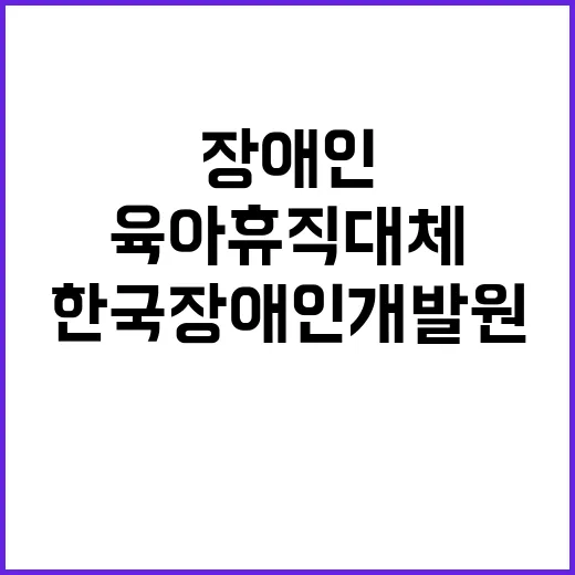 한국장애인개발원 비…