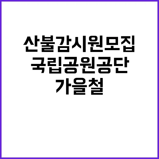 국립공원공단 비정규…