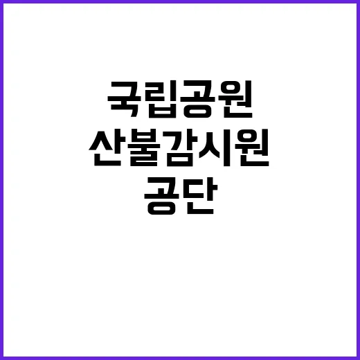 국립공원공단 비정규…